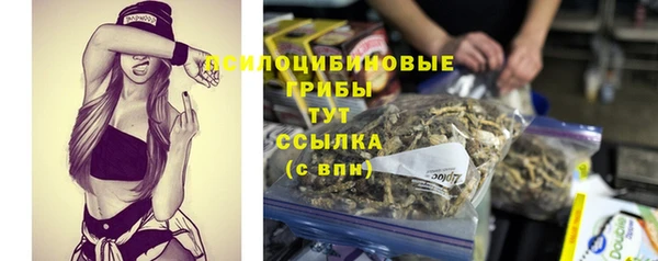 гашик Алексеевка
