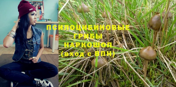 гашик Алексеевка