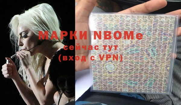 гашик Алексеевка