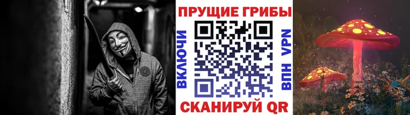 купить  сайты  Первоуральск  Псилоцибиновые грибы ЛСД 
