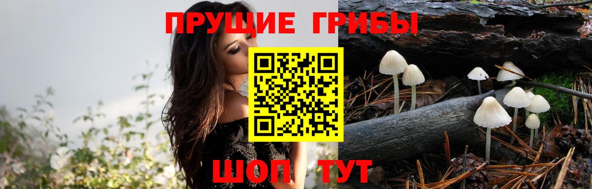 Галлюциногенные грибы Magic Shrooms Первоуральск